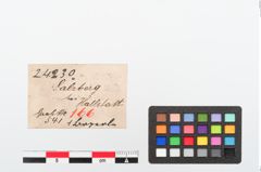 Etiketten zu Bronzeperle (NHMW-PRAE-024230)